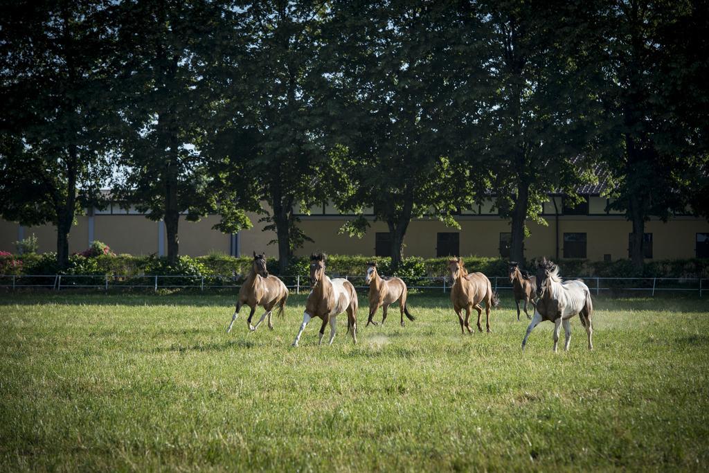 Agriturismo Tenuta "Il Cigno" Villanterio Εξωτερικό φωτογραφία