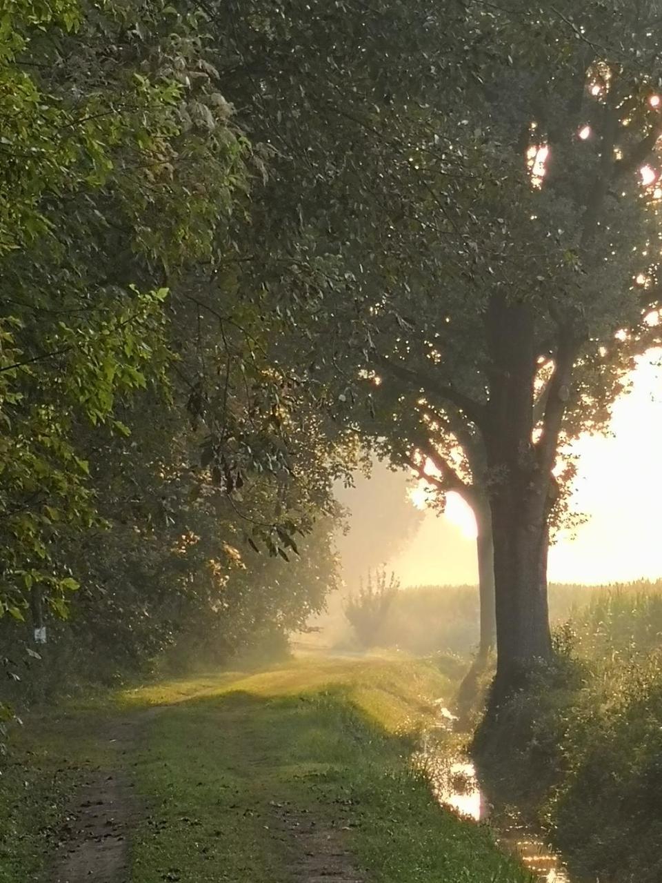 Agriturismo Tenuta "Il Cigno" Villanterio Εξωτερικό φωτογραφία